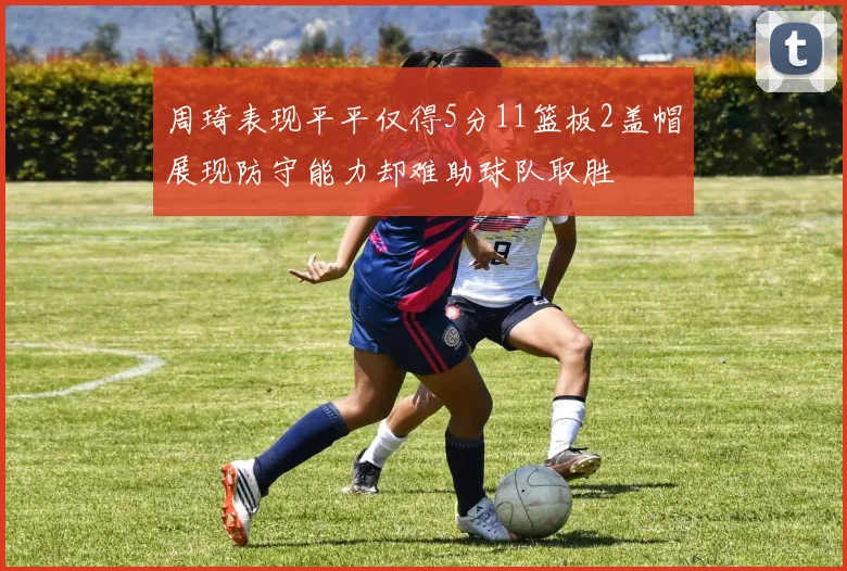 周琦表现平平仅得5分11篮板2盖帽展现防守能力却难助球队取胜