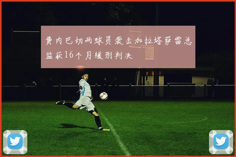 费内巴切两球员袭击加拉塔萨雷总监获16个月缓刑判决