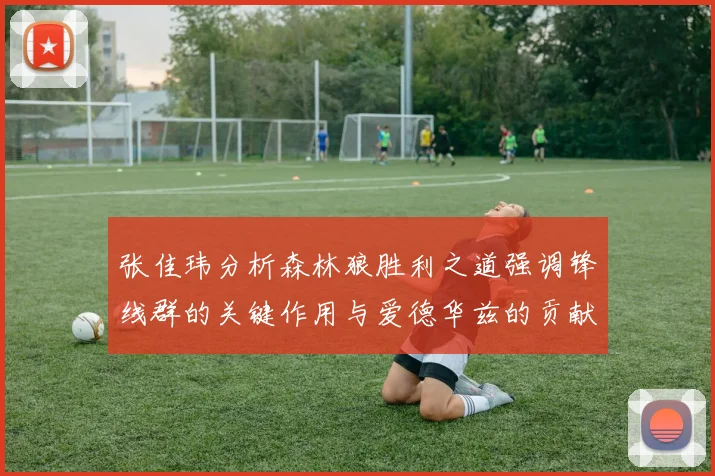 张佳玮分析森林狼胜利之道强调锋线群的关键作用与爱德华兹的贡献